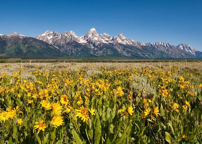 Holiday home Abode At Granite Ridge Teton Village