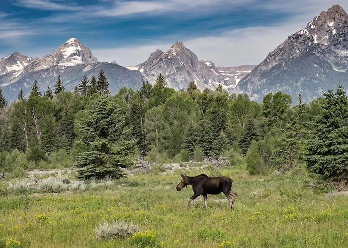 Holiday home Abode At Granite Ridge Teton Village